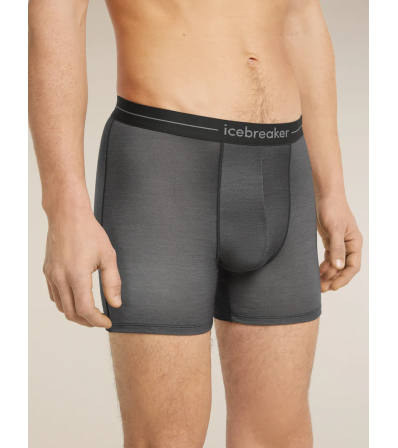 Боксерки Icebreaker Merino 150 Anatomica Boxers Transitions